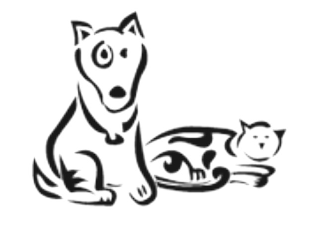 Pet Sitting By Sarah