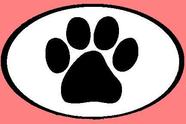 Pampered Paws Pet Care PA
