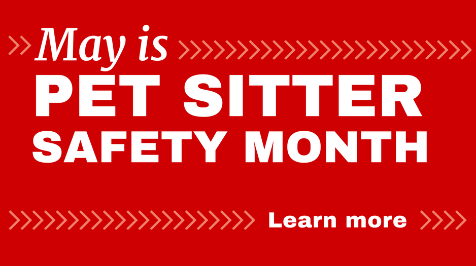 4 important selfcare tips for pet sitters and dog walkers