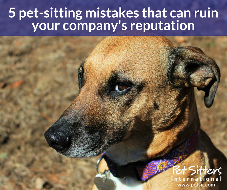 5 pet-sitting mistakes that can ruin your company's reputation