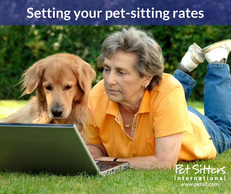 Pet Sitters Near Me - The Facts