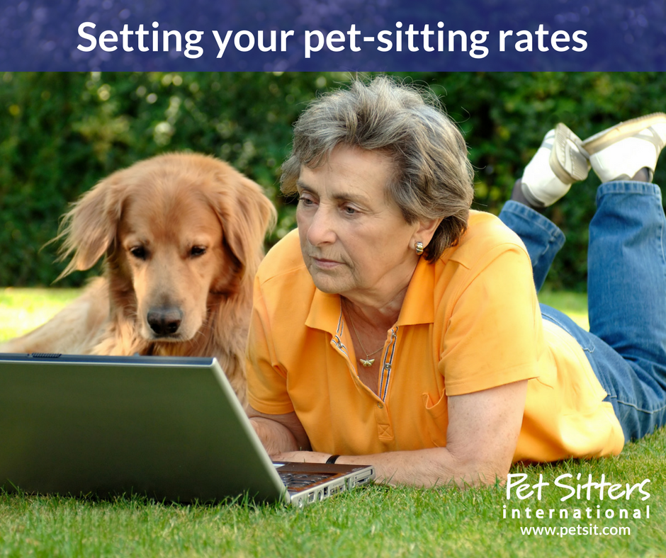 Setting Your Pet Sitting Fees