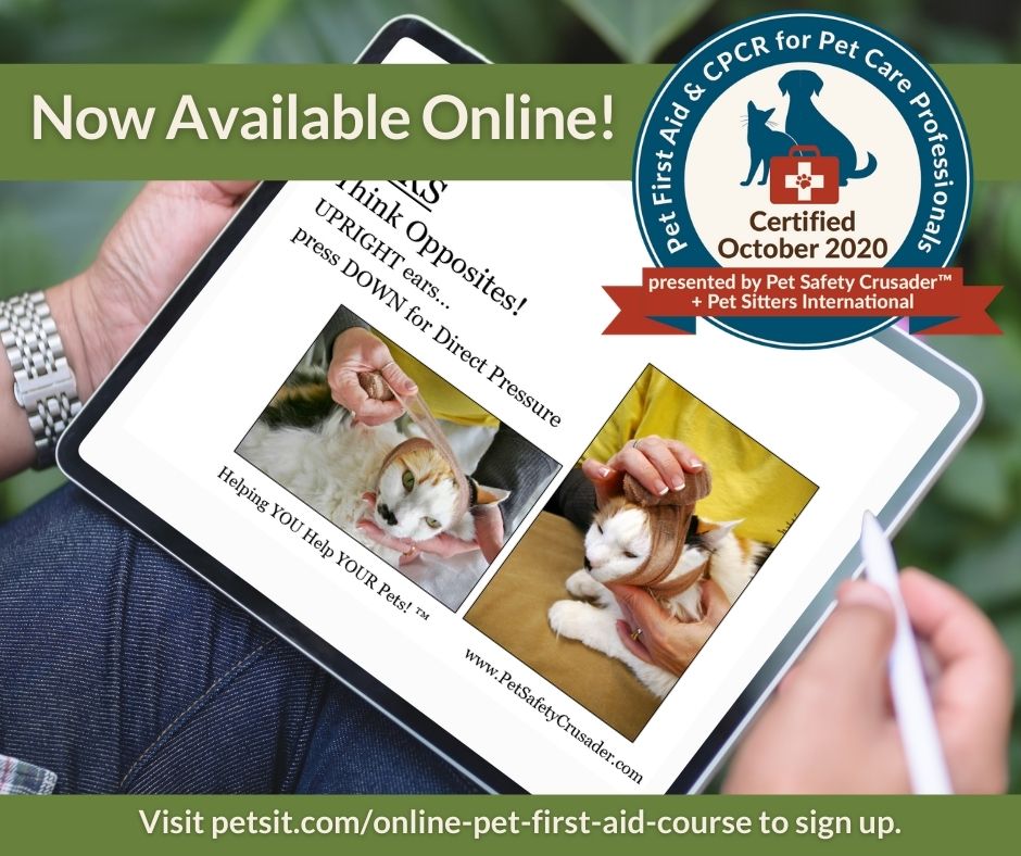 Online Pet First Aid for Pet Sitters and Dog Walkers