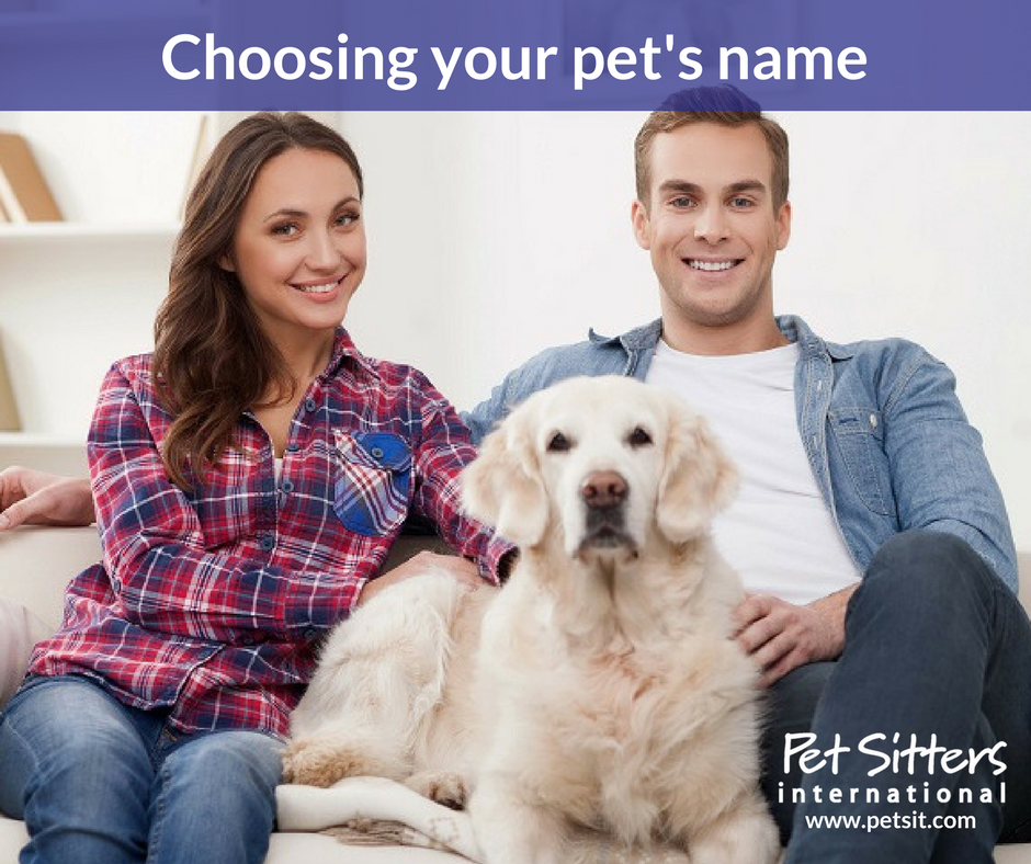 Finding the right name for your pet