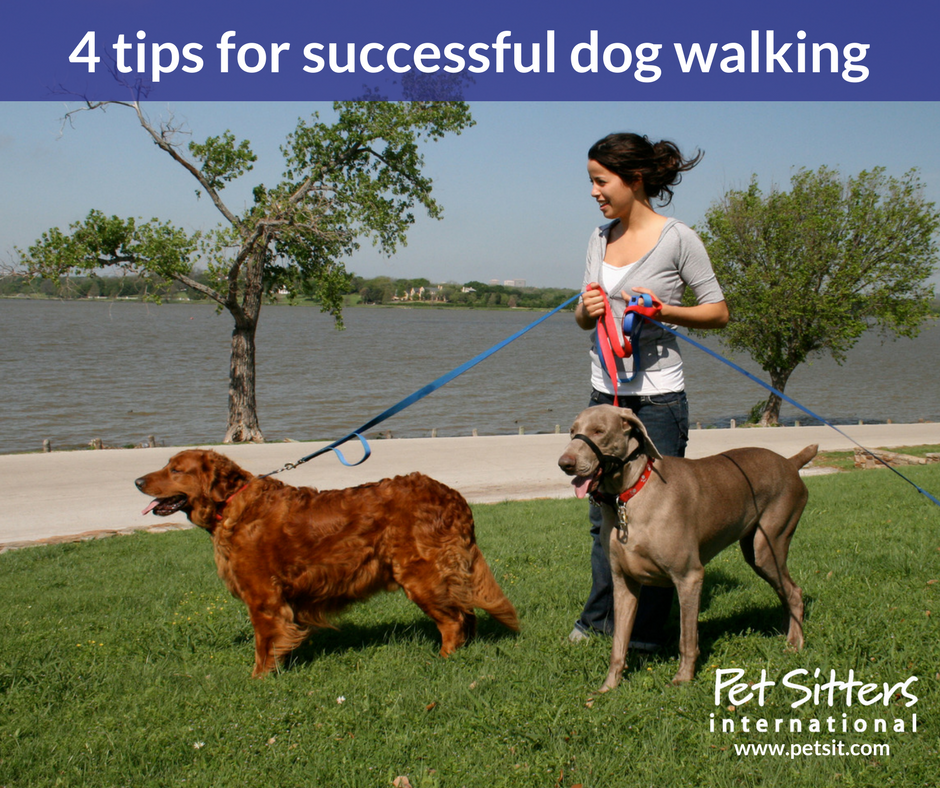 how do i get clients for my dog walking business