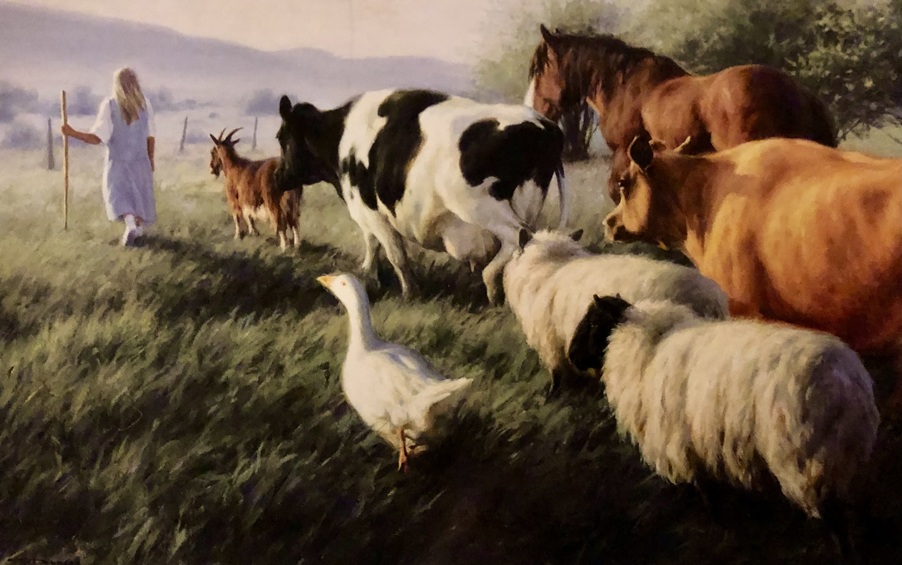 FOR THE LOVE OF ANIMALS LLC