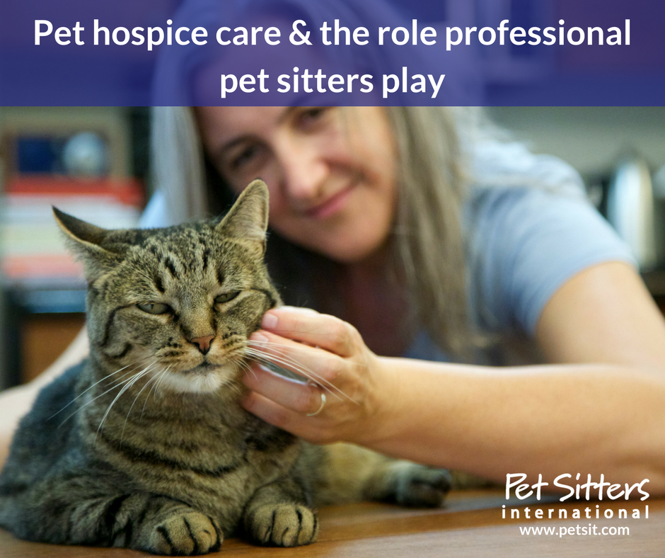 Veterinary hospice hot sale near me