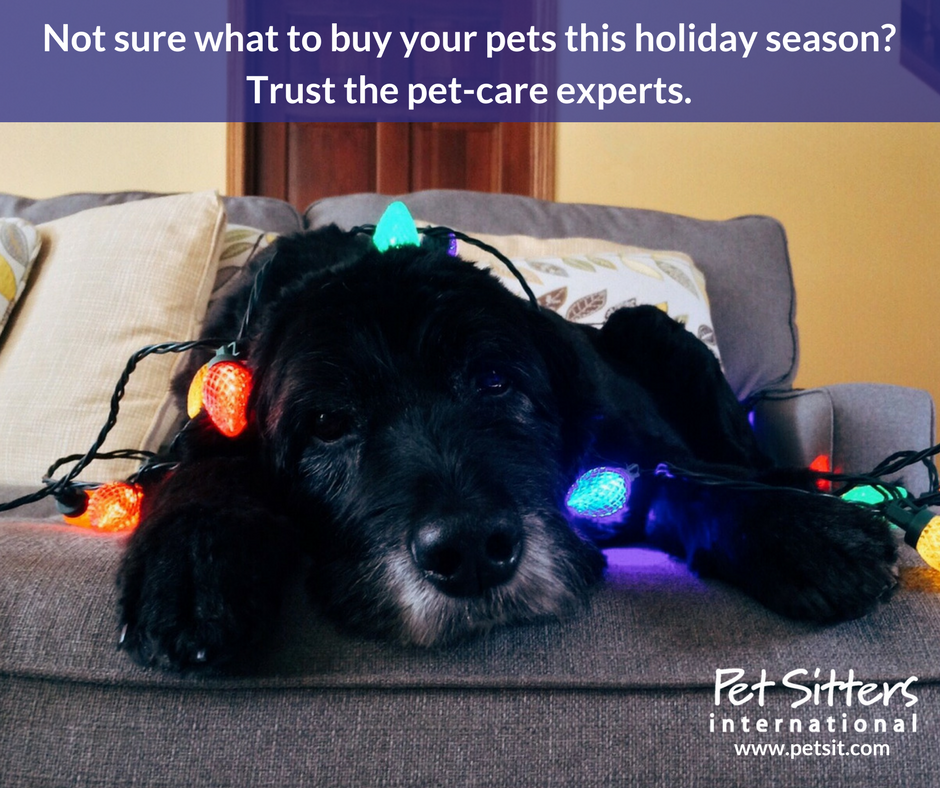 Pet care hot sale holiday