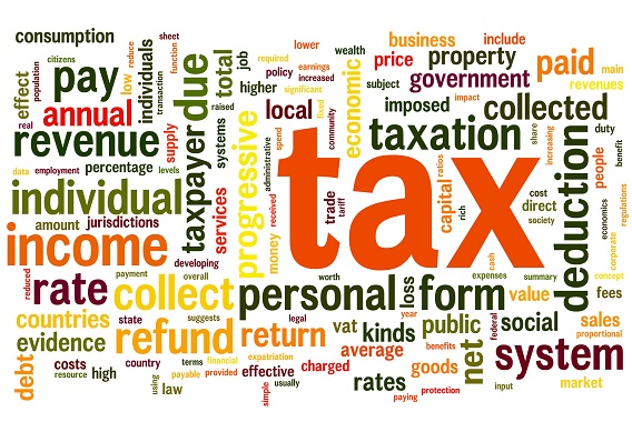 Image showcasing How Professional Pet Sitters Handle Taxes and Accounting