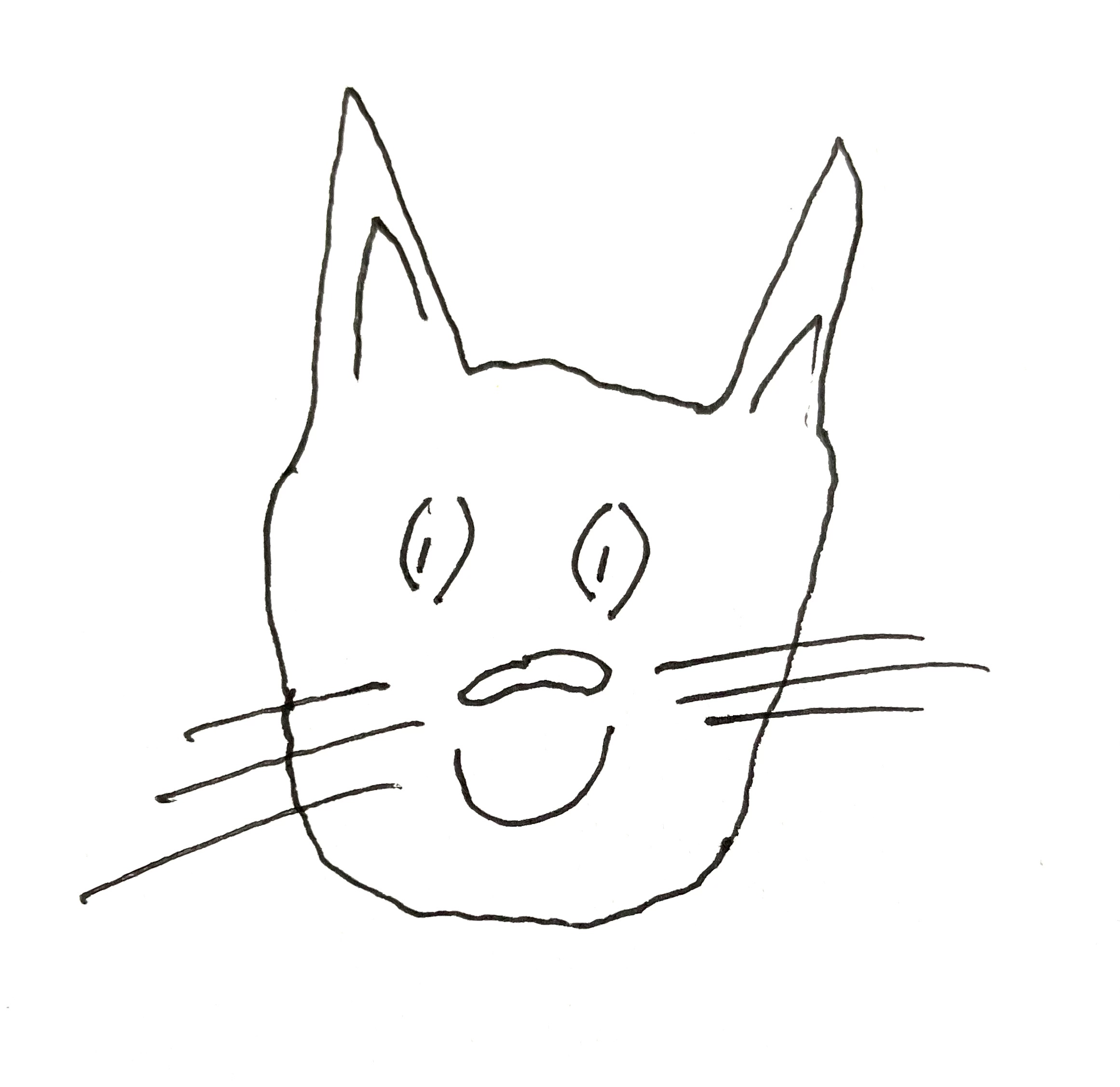 Your Cat’s Concierge