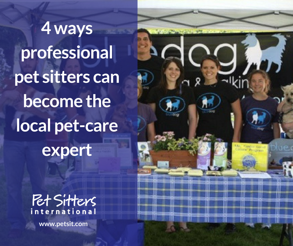 4 ways professional pet sitters can the local petcare expert