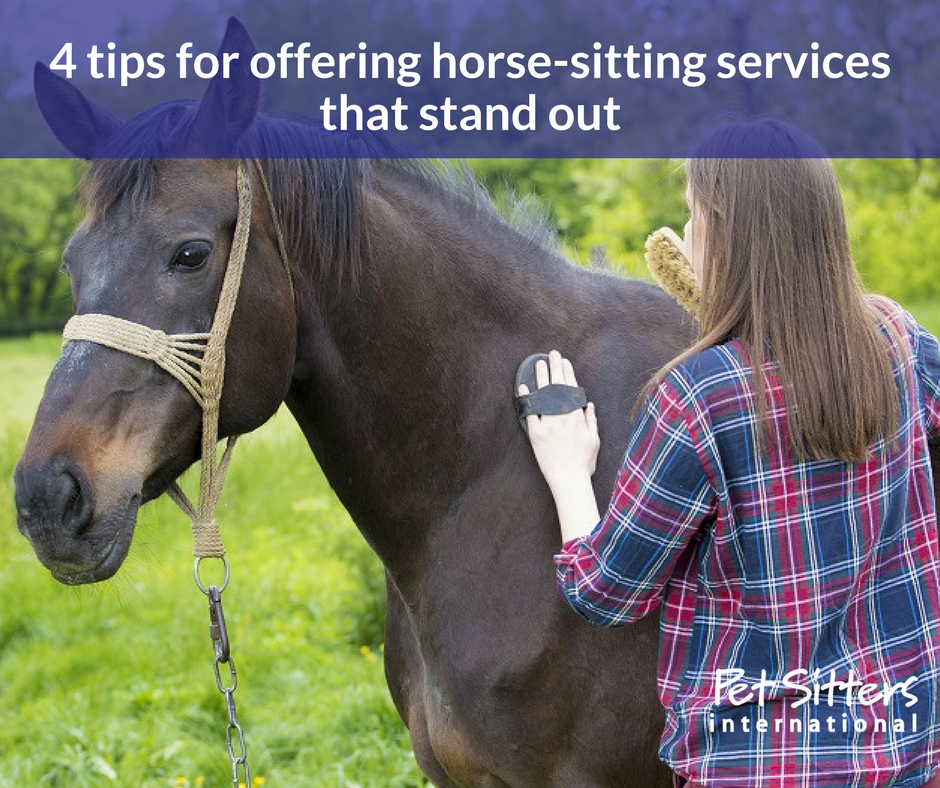 4 tips for offering horsesitting services that stand out
