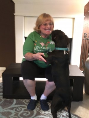 Deb s Pet and House Sitting