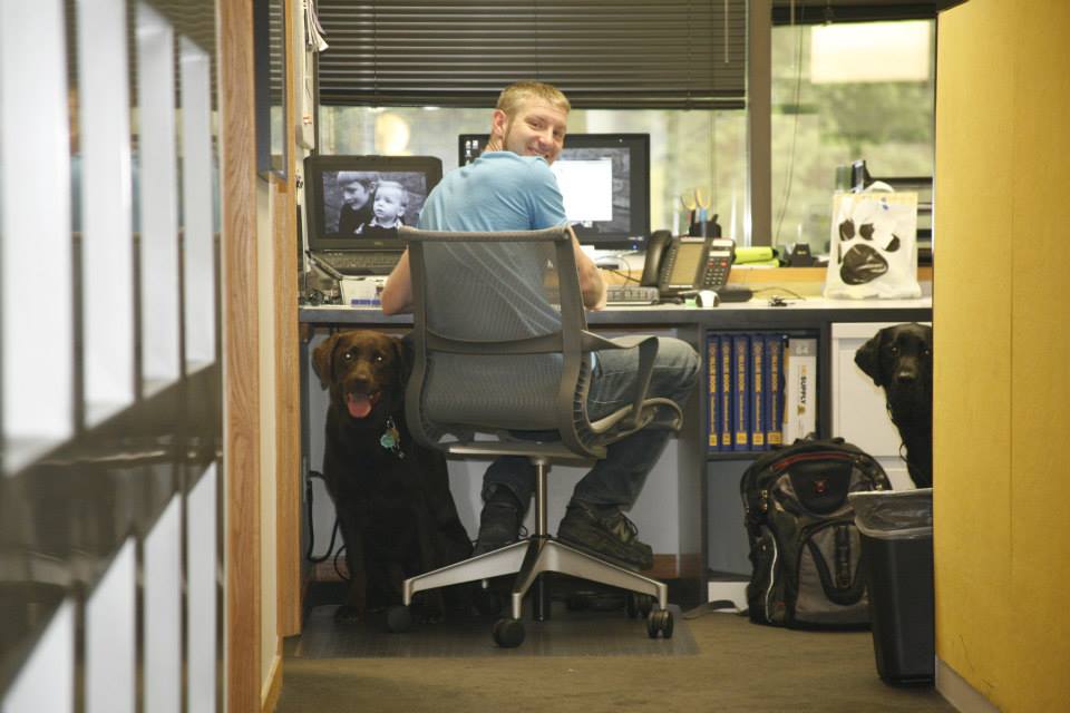 Employees at Village Green, a Detroit-based property management company, have raised more than $60,000 for local pet-rescue organizations through their annual TYDTWDay celebrations.