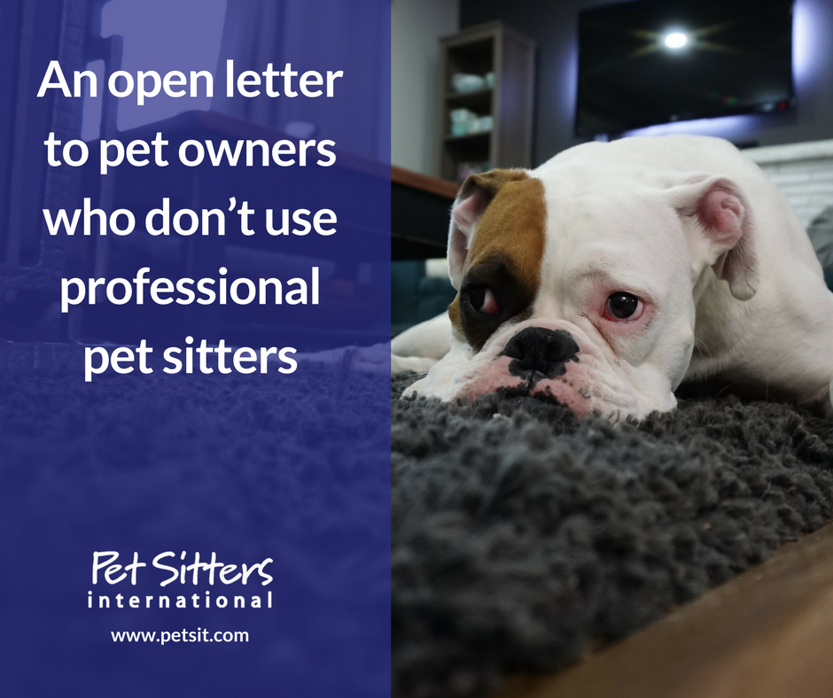 trusted pet sitters