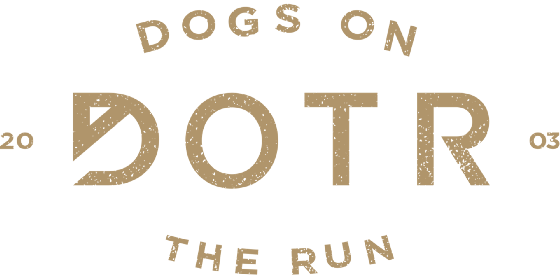 Dogs On The Run