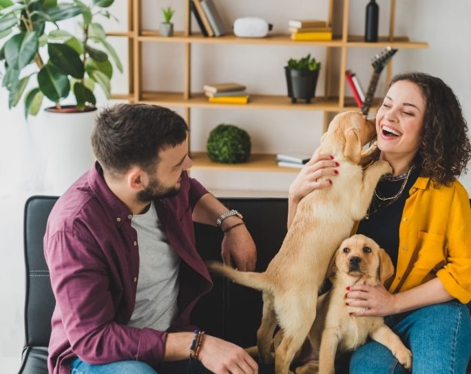 What Pet Sitters Do Pet Sitters International