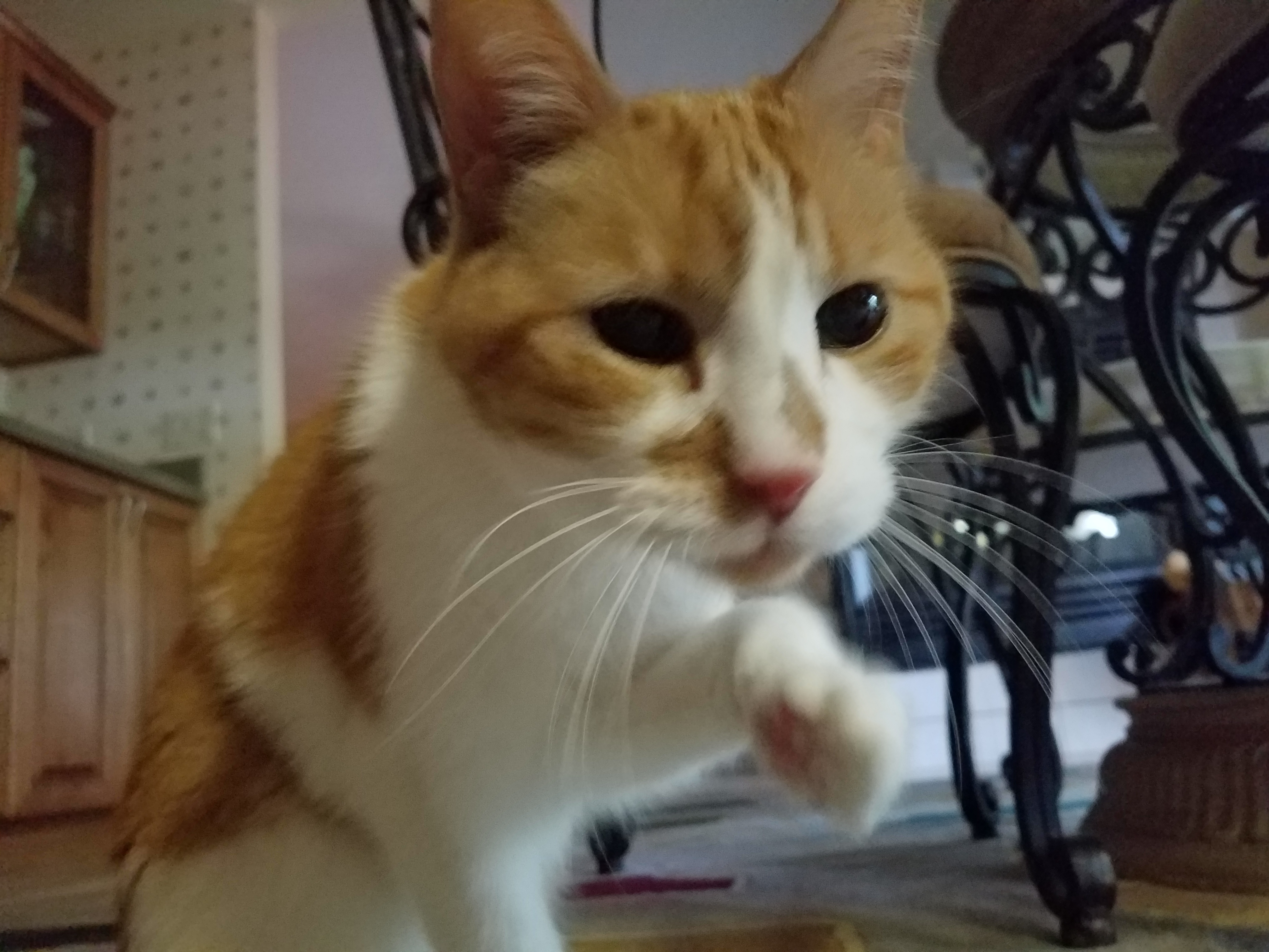  18