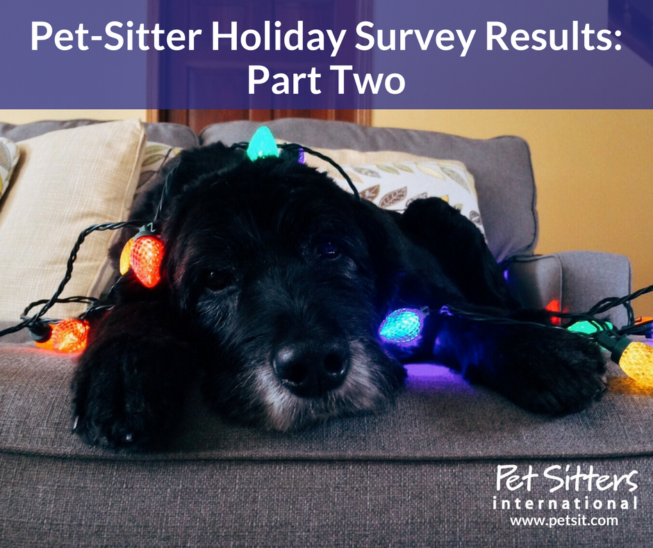Holiday dog sitters near hot sale me