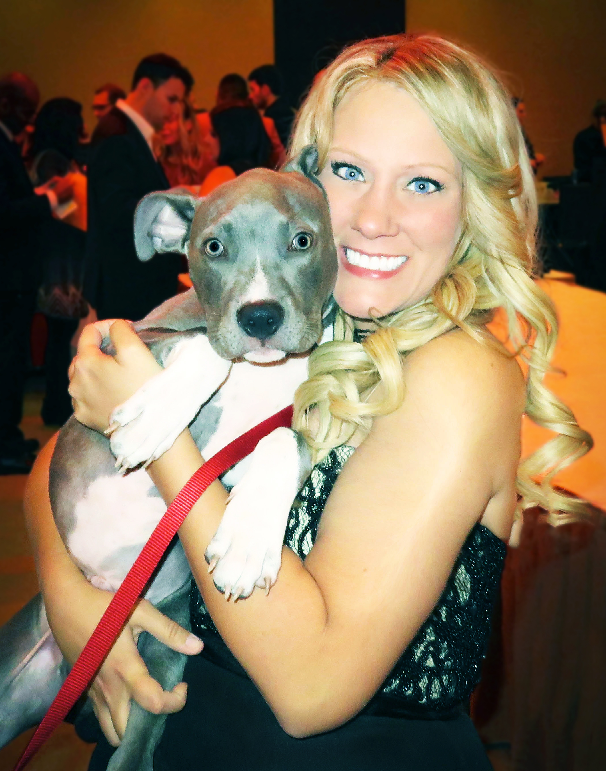 pet sitter spotlight carrie feinberg safe haven advocate pet care