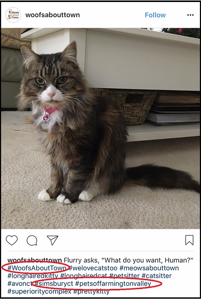 Instagram for Pet Sitters | Pet Sitters on Instagram Instagram for Pet Sitters | Pet Sitters on Instagram