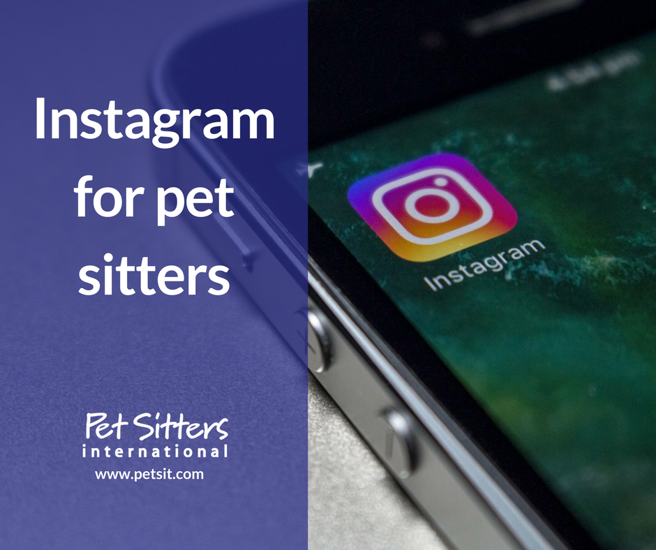 Instagram for pet sitters