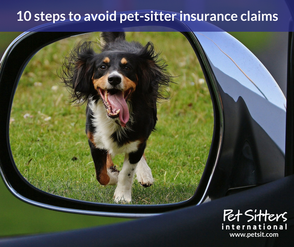 10 Steps To Avoid Pet Sitter Insurance Claims