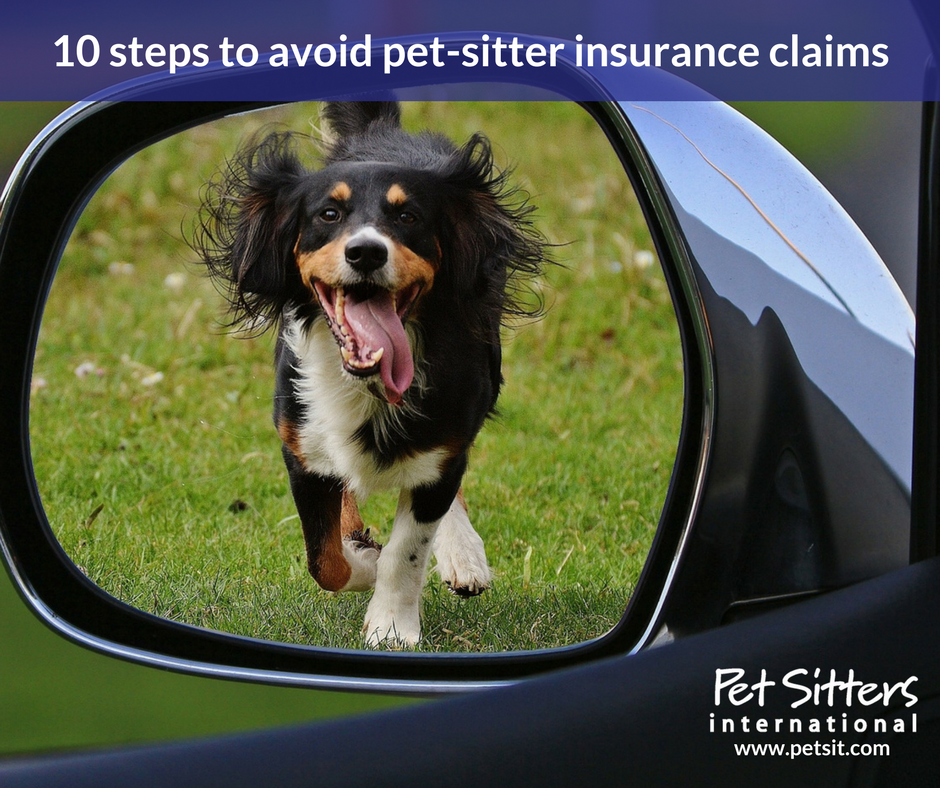 10 steps to avoid pet-sitter insurance claims