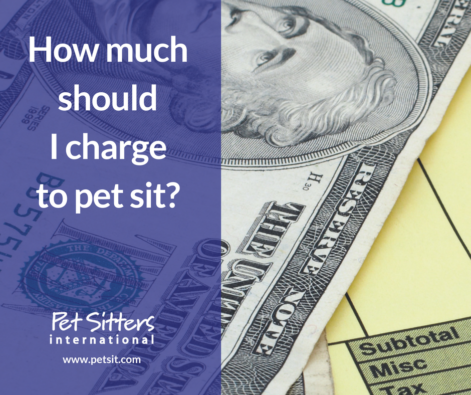 How Much Should I Charge For Pet Sitting