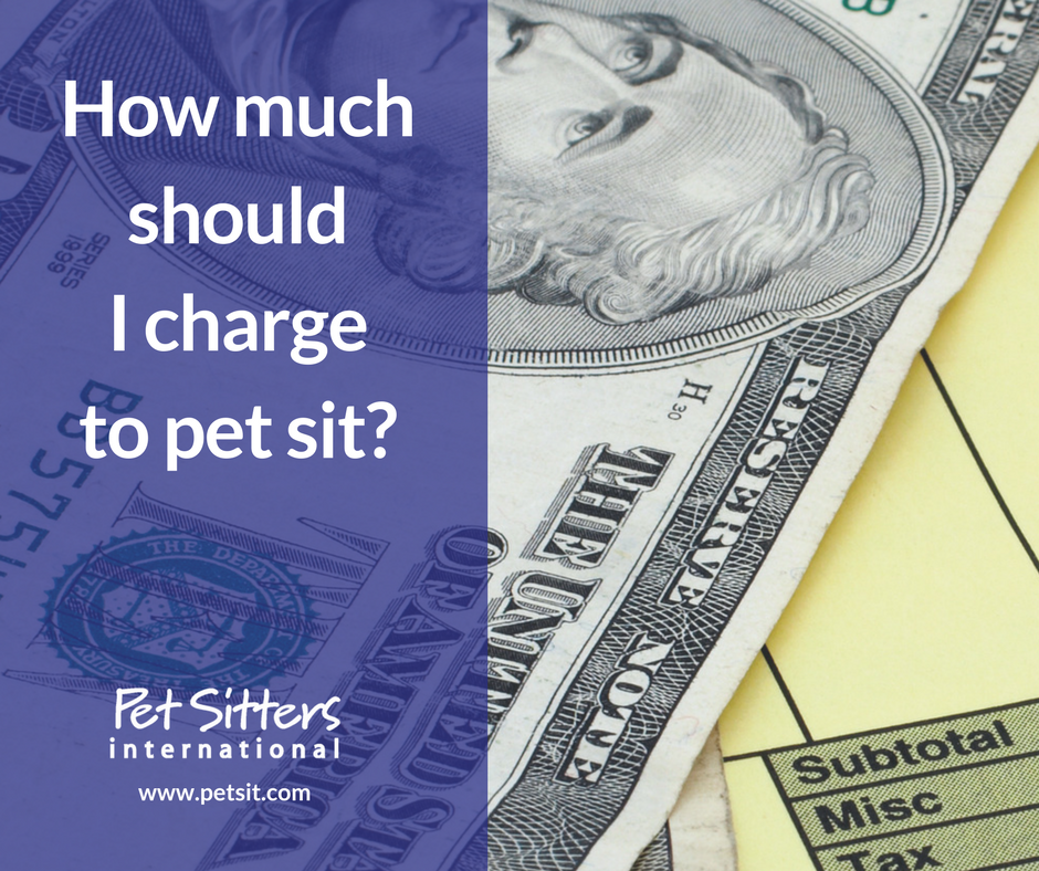 How Much Should I Charge To Pet Sit