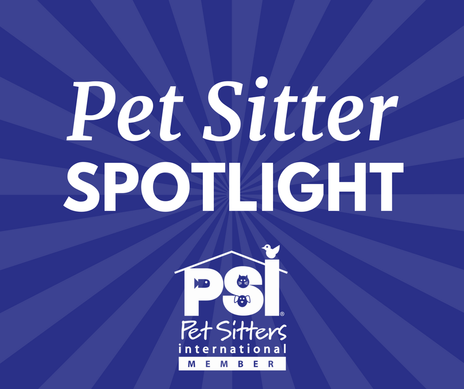 pet sitter spotlight carrie feinberg safe haven advocate pet care