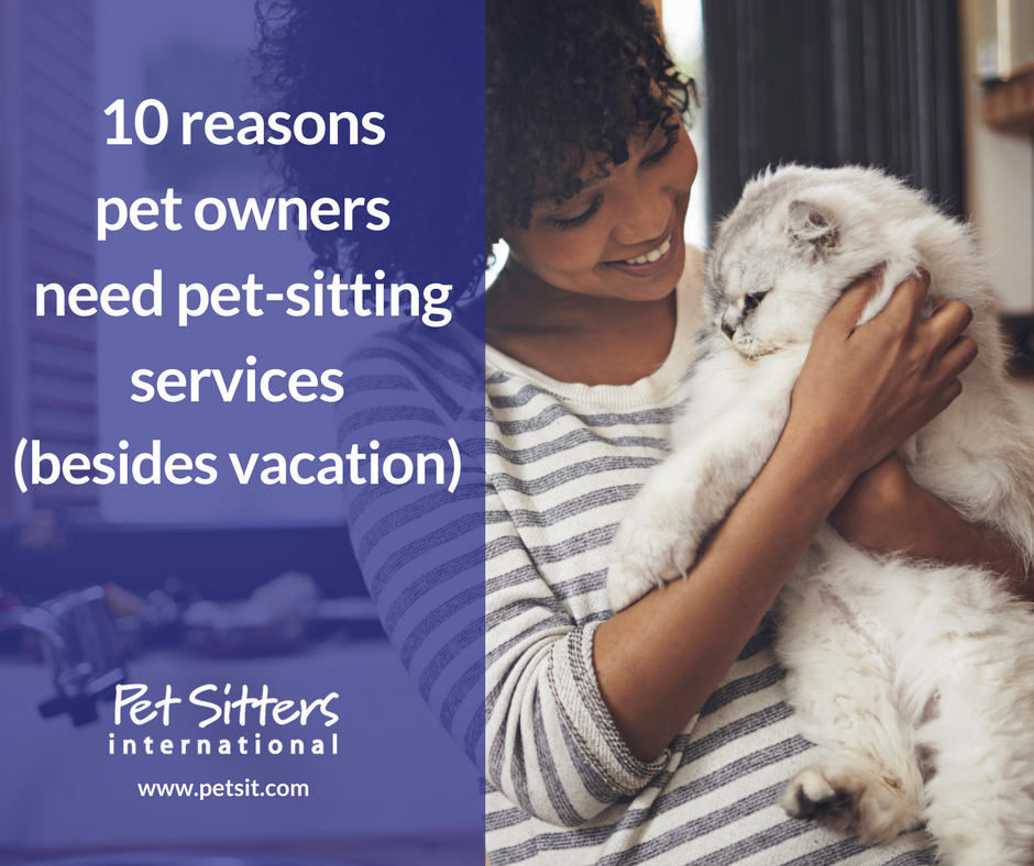 Vacation cheap pet sitting