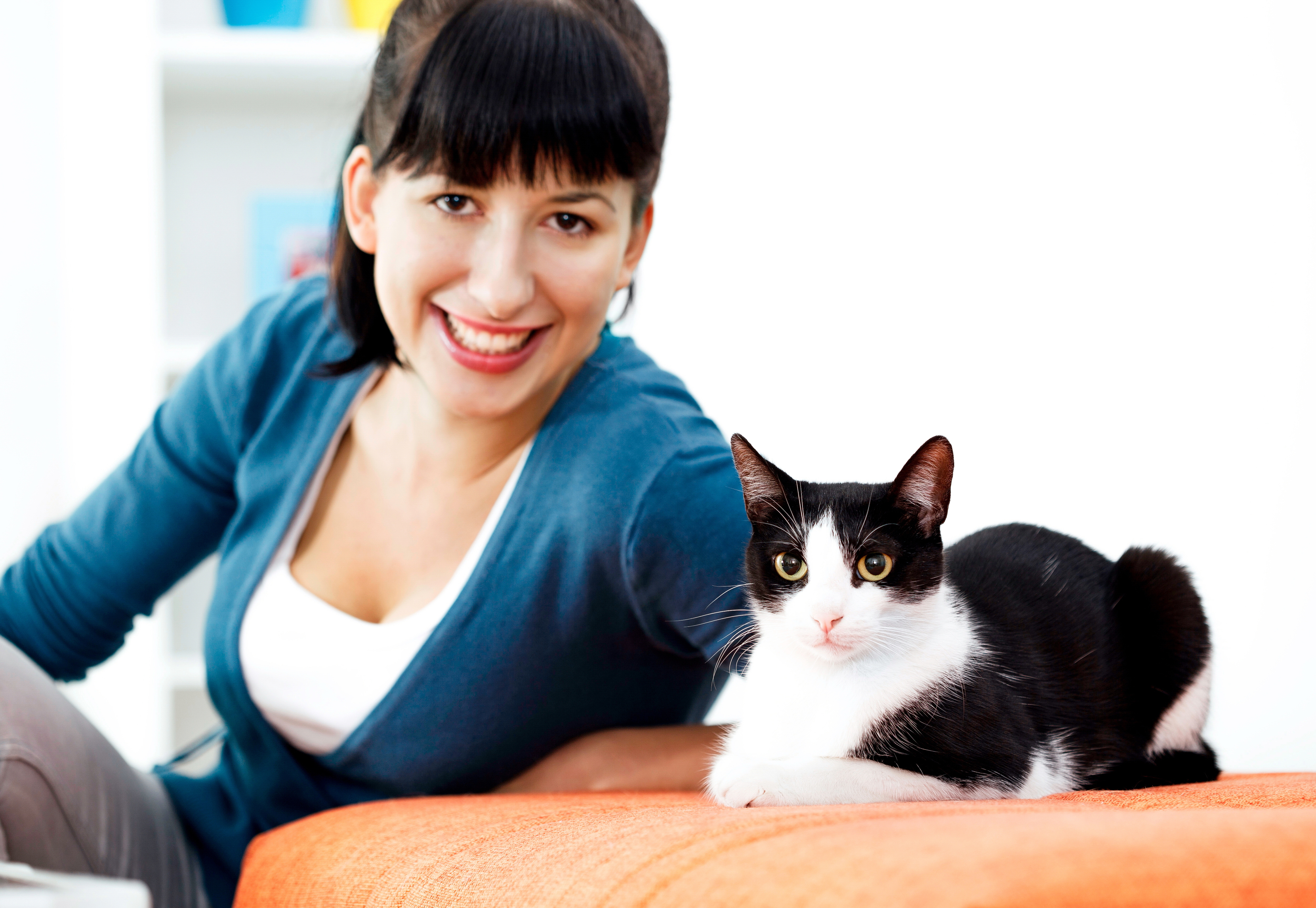 pet-sitters-international-news-psi-press-room