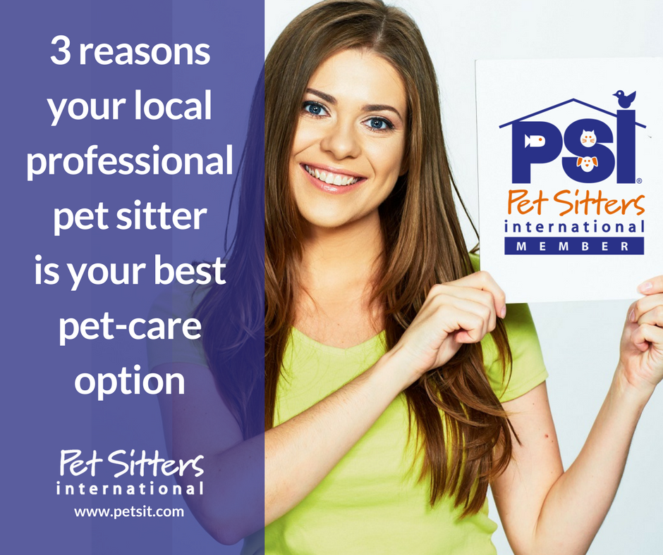 3 reasons your local professional pet sitter is your best pet care