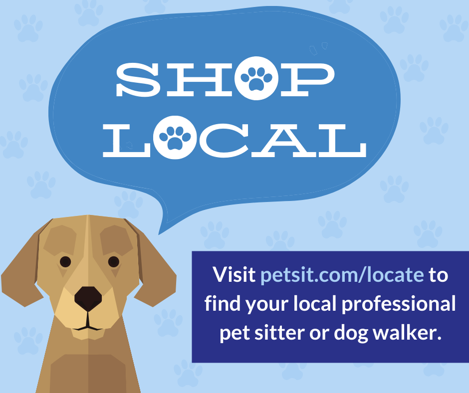 7 Simple Techniques For Fort Lauderdale Dog Sitting