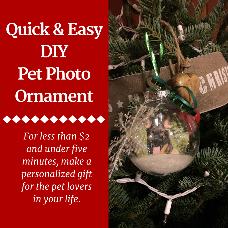 Homemade top dog ornaments