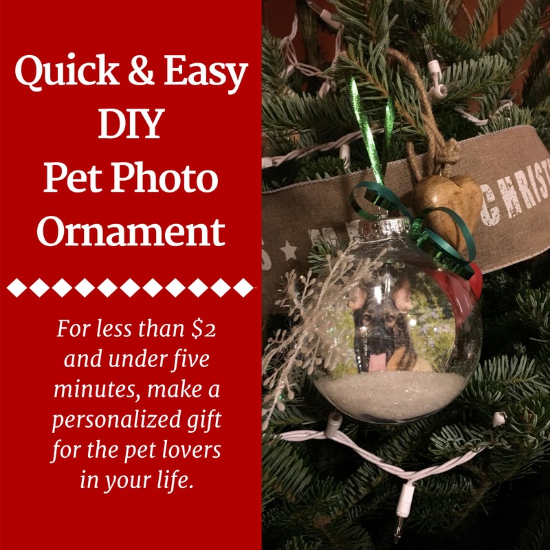 https://www.petsit.com/stuff/contentmgr/files/9/f6c3dbe584553a702bec2f76416485c2/files/quick___easy_diy_pet_photo_ornament.png